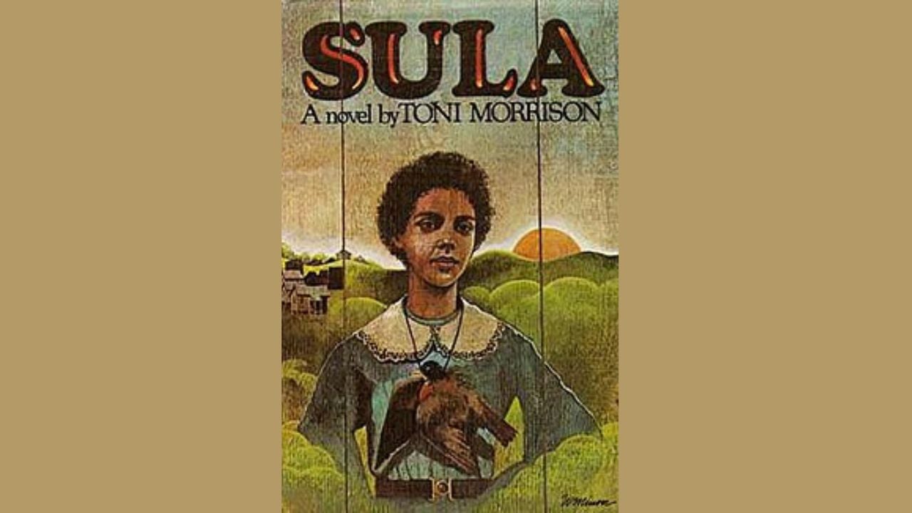 <p><em>Sula</em> tackles the ideas of gender, race, community, and that strange place between “good” and “evil” as Morrison tells the story of Nel and Sula in the small Black community of Bottom, Ohio. </p><p>Using Nel and Sula as opposing characters, Morrison makes room for a conversation about “good” and “right” versus “evil” and “bad.” She sets up a dynamic that specifically allows readers into the moment that divides the two women, which will provide the framework for the judgment of their adulthood to allow readers room to formulate their thoughts on Nel and Sula outside of the community’s judgments.</p><p>While Morrison still examines race in <em>Sula</em>, the deeper purpose of the novel rests in exploring one’s self, the enduring love of friendship, and how our histories affect us all.</p>