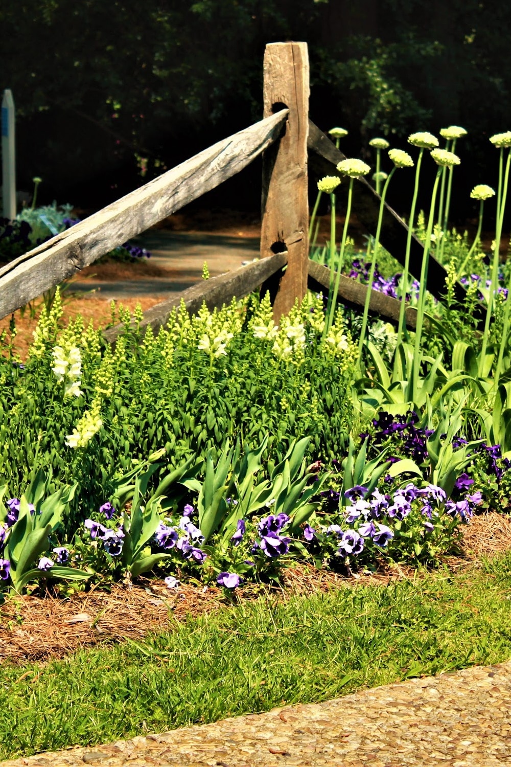 8 Reasons To Mulch In The Spring