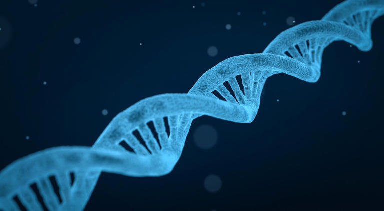 Hidden 'switches' in DNA reveal new insights into Alzheimer's disease