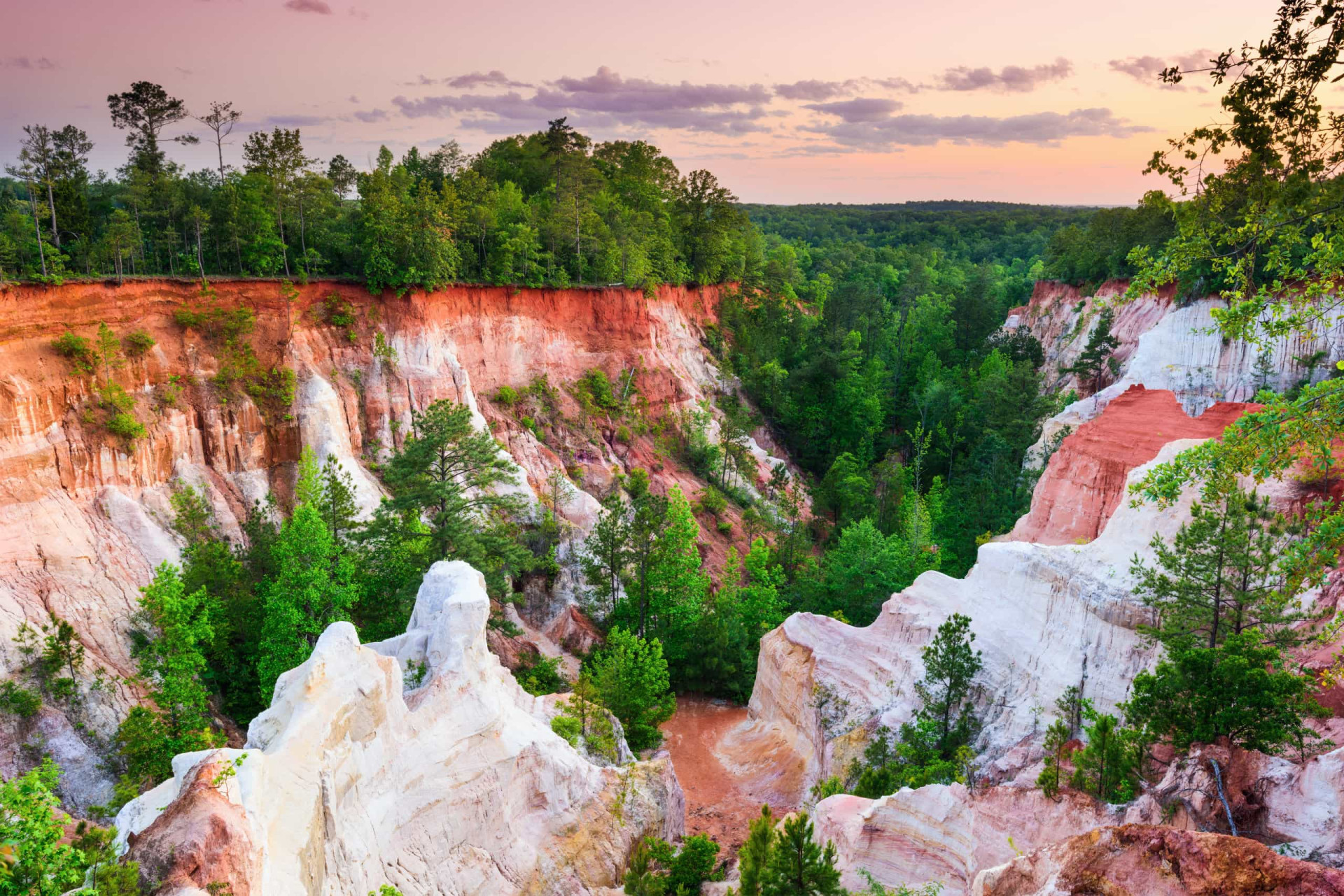 <p>In Stewart County, southwest Georgia, Providence Canyon State park is another site of astonishing natural beauty. The canyon itself is often referred to as the "Little Grand Canyon," and a series of trails and overlooks provide ample opportunity to take in its grand scale.</p><p><a href="https://www.msn.com/en-us/community/channel/vid-7xx8mnucu55yw63we9va2gwr7uihbxwc68fxqp25x6tg4ftibpra?cvid=94631541bc0f4f89bfd59158d696ad7e">Follow us and access great exclusive content every day</a></p>