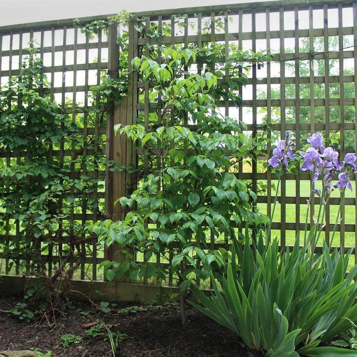 10 Unique Diy Fence Ideas