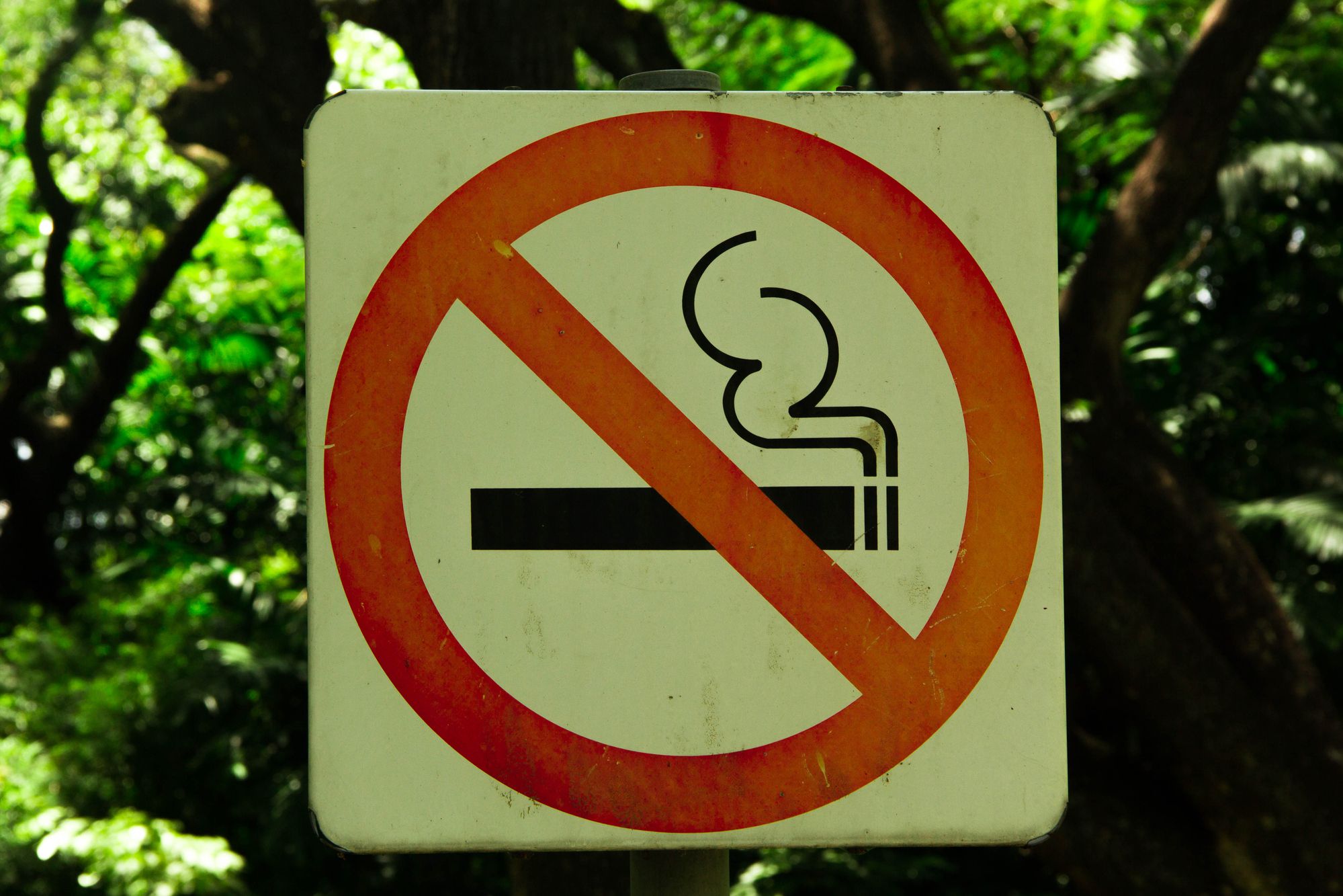 <p>Europeans visiting America will notice one thing right away: There are far fewer smokers in the U.S. and far more rigid smoking regulations than in Europe. Americans have one of the <a href="https://www.nber.org/system/files/working_papers/w12124/w12124.pdf">lowest smoking rates</a> in the developed world, with 19.1% of adult Americans smoking, as opposed to 34% of Germans and 27% of the French or English. That's a big kudos to Americans.</p>