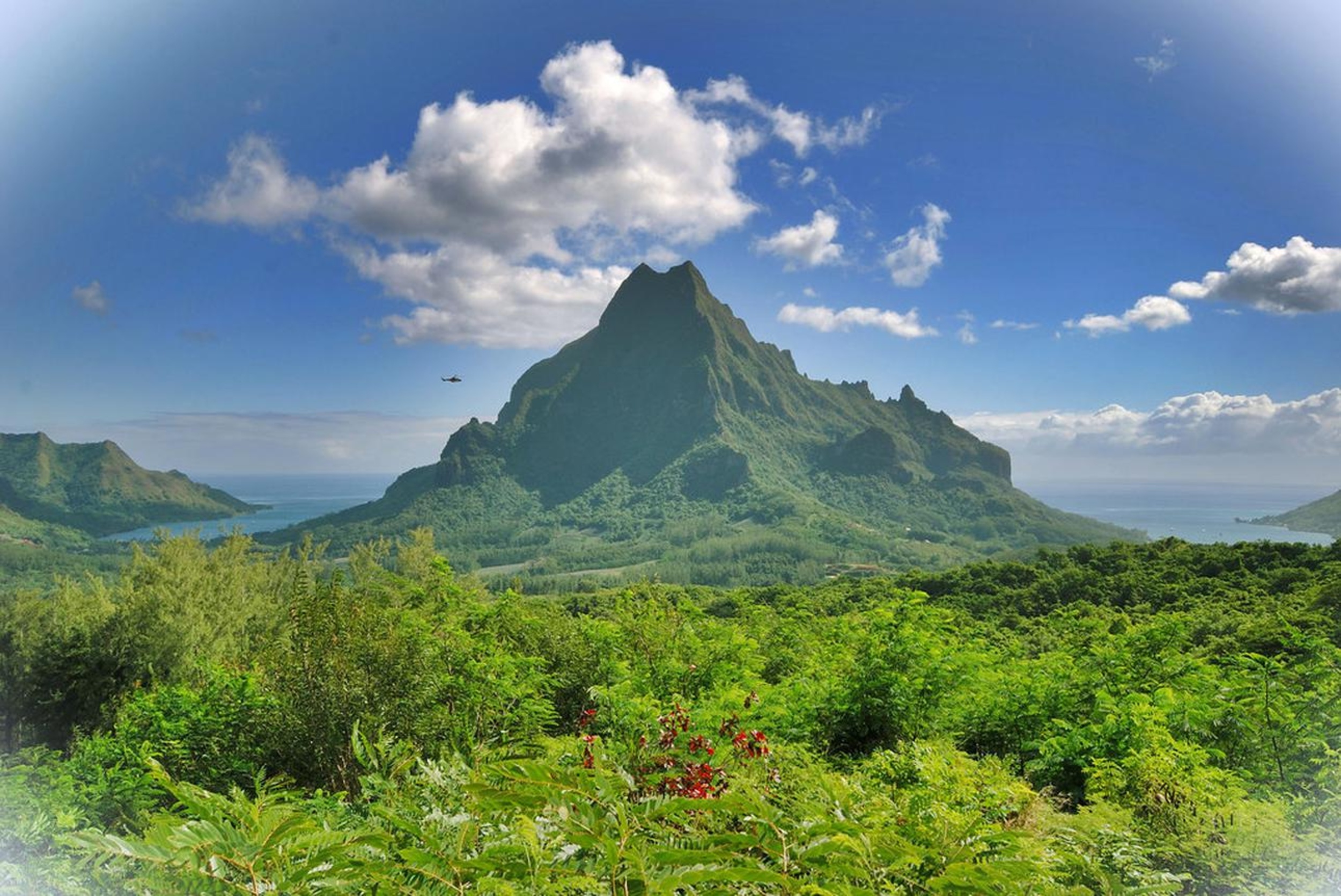 <p>Sticking to our Moorea getaway, take a car through the mountains for a view of the ocean. Belvedere is one of those lookouts that makes your jaw drop. It boasts panoramic views of the island—with two mountains on either side like an open door to the sea. </p><p><a href='https://www.msn.com/en-us/community/channel/vid-cj9pqbr0vn9in2b6ddcd8sfgpfq6x6utp44fssrv6mc2gtybw0us'>Follow us on MSN to see more of our exclusive lifestyle content.</a></p>