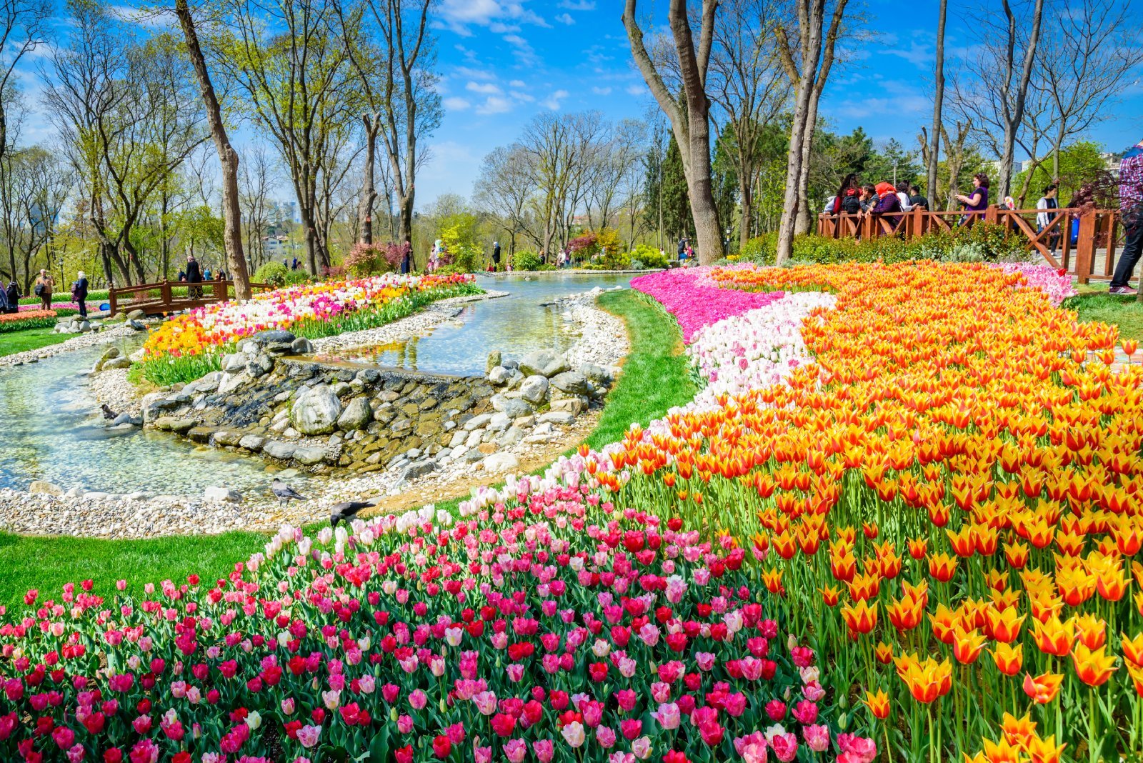 <p class="wp-caption-text">Image Credit: Shutterstock / epic_images</p>  <p><span>Exploring the world’s best flower festivals offers a unique blend of natural beauty, cultural insight, and communal celebration. Each festival, with its distinct charm and setting, invites visitors to delve into the local traditions and landscapes that define it. As you plan your journey, embrace the opportunity to connect with diverse cultures and nature’s splendor, enriching your travel experience with memories that will last a lifetime.</span></p> <p><span>More Articles Like This…</span></p> <p><a href="https://thegreenvoyage.com/barcelona-discover-the-top-10-beach-clubs/"><span>Barcelona: Discover the Top 10 Beach Clubs</span></a></p> <p><a href="https://thegreenvoyage.com/top-destination-cities-to-visit/"><span>2024 Global City Travel Guide – Your Passport to the World’s Top Destination Cities</span></a></p> <p><a href="https://thegreenvoyage.com/exploring-khao-yai-a-hidden-gem-of-thailand/"><span>Exploring Khao Yai 2024 – A Hidden Gem of Thailand</span></a></p> <p><span>The post <a href="https://passingthru.com/worlds-most-stunning-flower-festivals/">World’s Most Stunning Flower Festivals Worth Adding to Your Bucketlist!</a> republished on </span><a href="https://passingthru.com/"><span>Passing Thru</span></a><span> with permission from </span><a href="https://thegreenvoyage.com/"><span>The Green Voyage</span></a><span>.</span></p> <p><span>Featured Image Credit: Shutterstock / Djay7.</span></p> <p><span>For transparency, this content was partly developed with AI assistance and carefully curated by an experienced editor to be informative and ensure accuracy.</span></p>