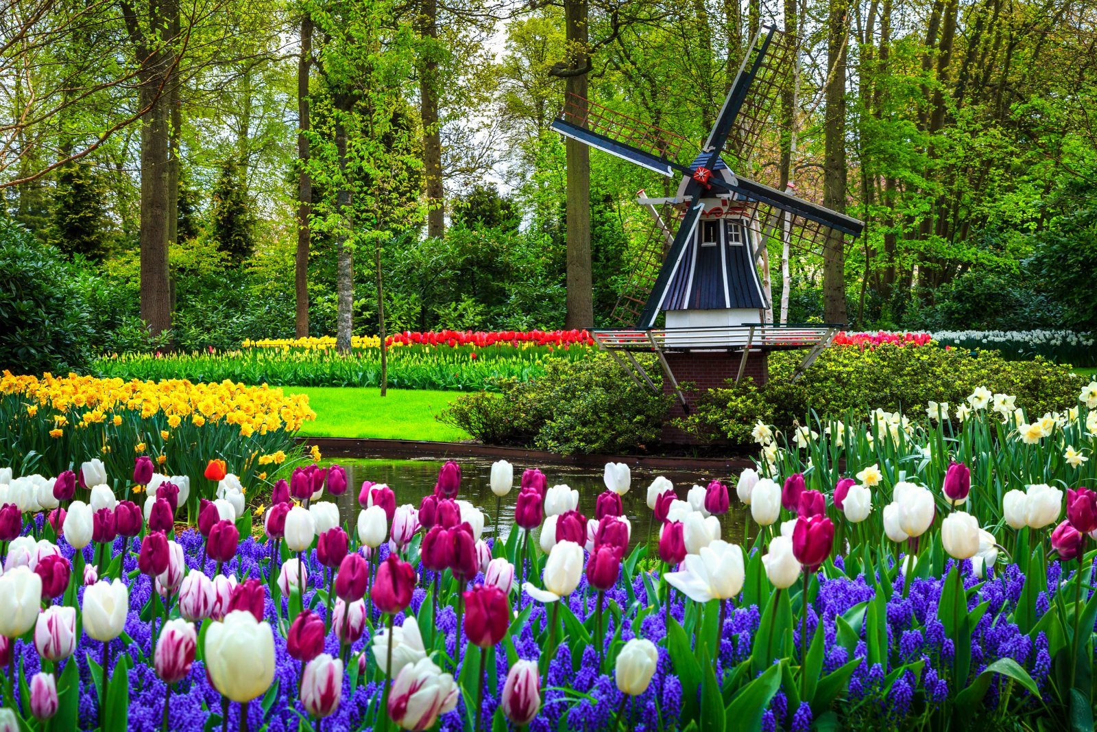 <p class="wp-caption-text">Image Credit: Shutterstock / Gaspar Janos</p>  <p><span>The Keukenhof Gardens in the Netherlands is one of the largest flower gardens in the world, renowned for its stunning display of over 7 million tulips, daffodils, and other spring flowers. Spread over 32 hectares, the garden is a kaleidoscope of color from March to May, showcasing meticulously designed flower beds, themed gardens, and inspirational exhibitions. Keukenhof is a celebration of tulips and a tribute to Dutch floral heritage and horticultural expertise, drawing visitors from all corners of the globe.</span></p> <p><b>Insider’s Tip: </b><span>Weekdays, particularly in the morning, tend to be less crowded, offering a more tranquil experience.</span></p> <p><b>When to Travel: </b><span>Mid-March to mid-May, with peak bloom typically occurring in mid-April.</span></p> <p><b>How to Get There: </b><span>Keukenhof is located in Lisse, accessible by bus from Amsterdam, Haarlem, and Leiden. The nearest international airport is Amsterdam Schiphol.</span></p>