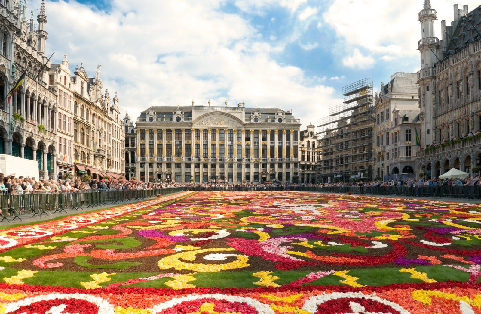 <p class="wp-caption-text">Image Credit: Shutterstock / Andrjuss</p>  <p><span>Brussels’ Grand Place is transformed into a stunning floral display every two years with a giant carpet made entirely of begonias. The event lasts for a few days in August, drawing spectators from around the world.</span></p> <p><b>Insider’s Tip: </b><span>View the carpet from the balcony of the City Hall for the best views.</span></p> <p><b>When to Travel: </b><span>Mid-August, biennially</span></p> <p><b>How to Get There: </b><span>Brussels is well-connected by train and air. The Grand Place is centrally located and accessible on foot from many parts of the city.</span></p>