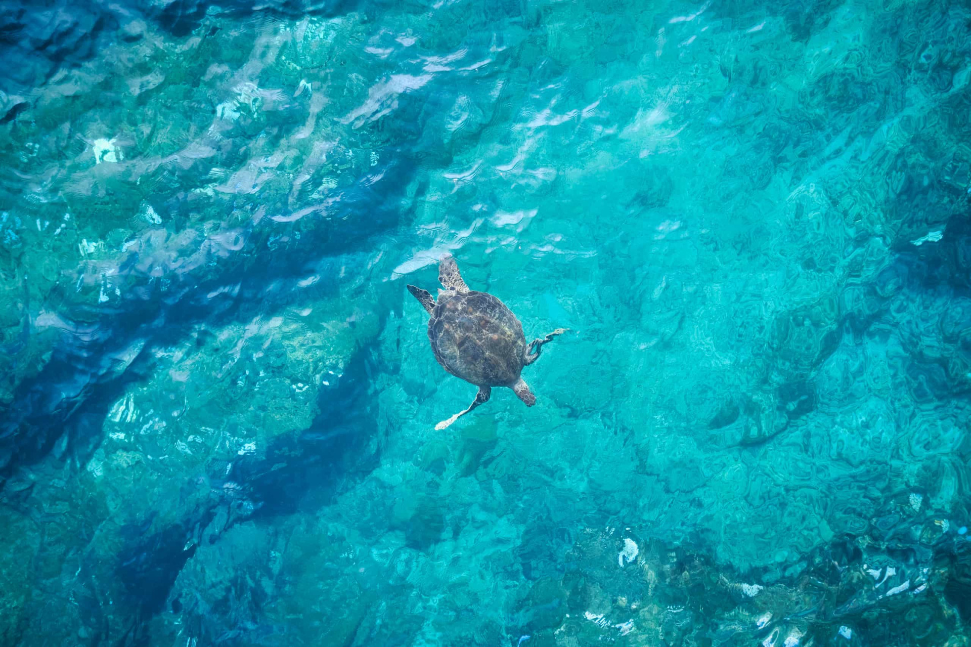 Extraordinary bunkers hiding in people's backyards