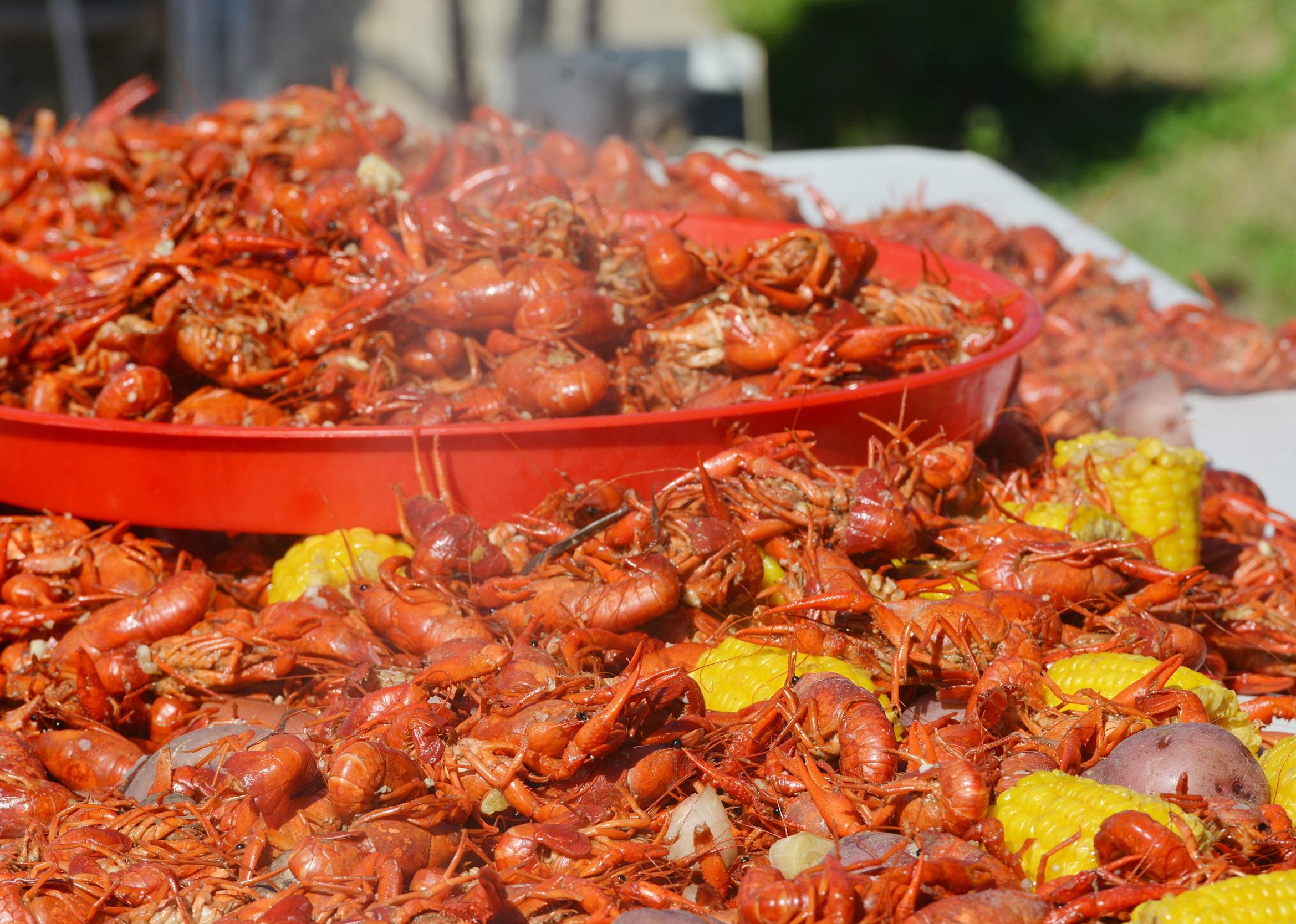<p>To those in northern states, they're <a href="https://www.insider.com/words-that-are-different-across-the-us#miniature-lobsters-found-in-lakes-and-streams-are-called-crawfish-crayfish-or-crawdads-16">crayfish</a>; to those in the South and on the East Coast, they're crawfish; and finally, to those in the Midwest, California, and Oregon, they're crawdads. The word crayfish <a href="https://www.cjr.org/language_corner/crawfish-crayfish-crawdad.php">evolved</a> from the Middle English word "crevis." Crawdads are also called "crawdaddies" or "crawdabs" in some areas.</p>