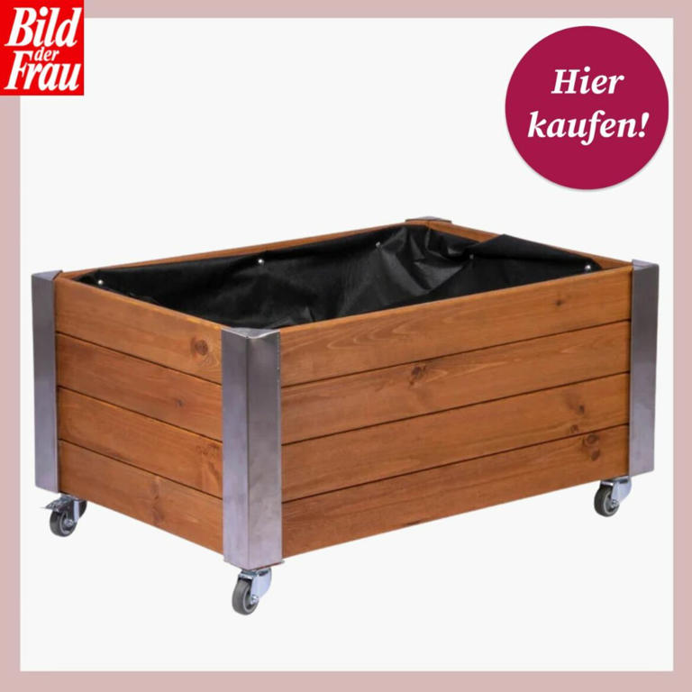 Hochbeet von Lidl Das sind die schönsten Modelle für einen kleinen Garten