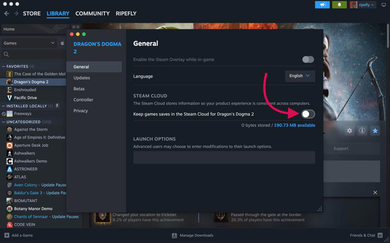 How to delete your Dragon’s Dogma 2 save files on Steam