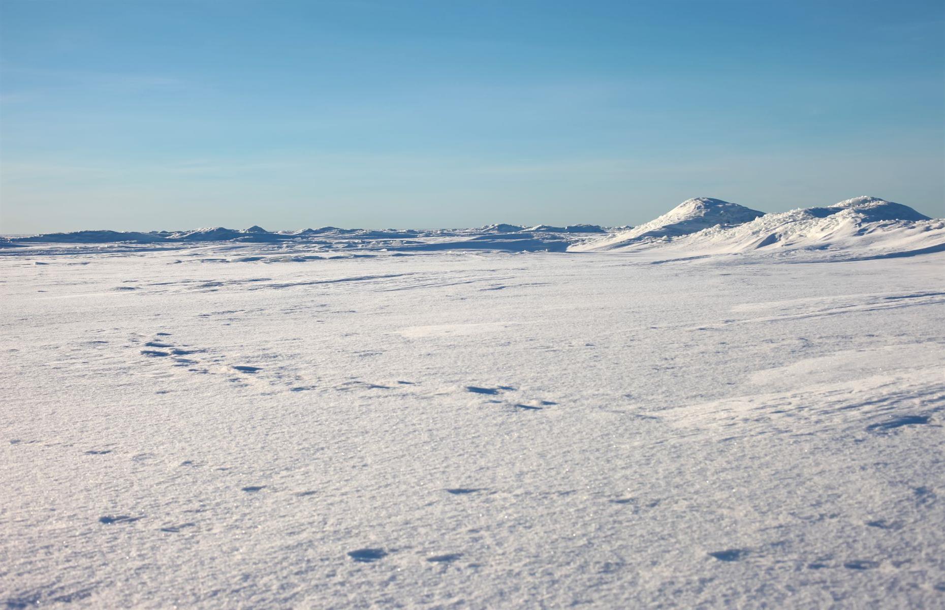 The fascinating story of Antarctica and its surprising secrets