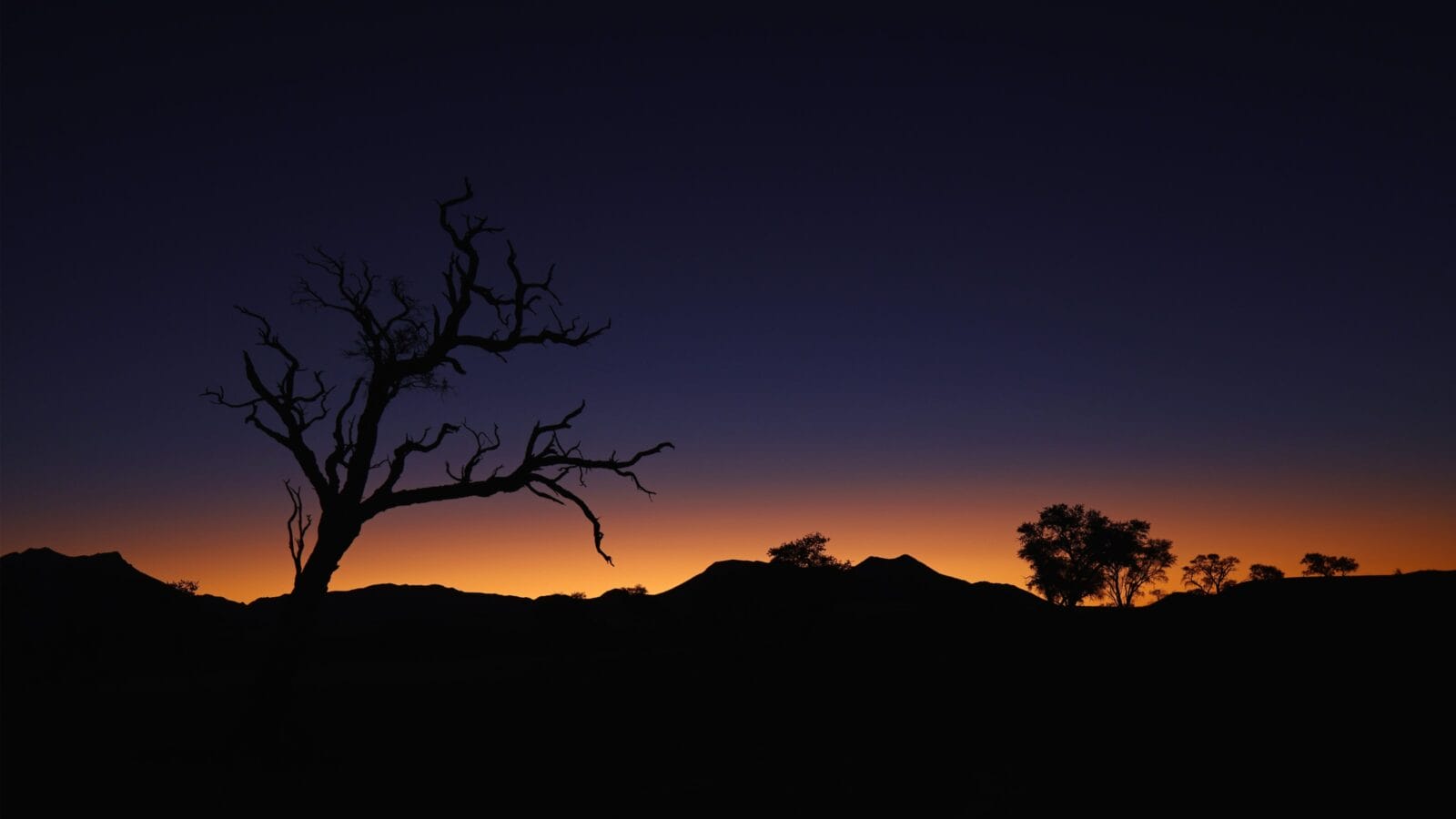 <p>One of the best places to stargaze is the NamibRand Nature Reserve in Namibia. In fact, it is second place in the world to be listed as a Gold Tier International Dark Sky Reserve. This title helps preserve the location, keeping it restricted and dark! Here you will find sand dunes and dark skies that will show off millions of stars. To top it all off, there are several local lodges that offer stargazing safaris, astronomy programs, and even hotel rooms with open-sky stargazing ceilings. You can sleep under the stars in the lap of luxury here! </p>
