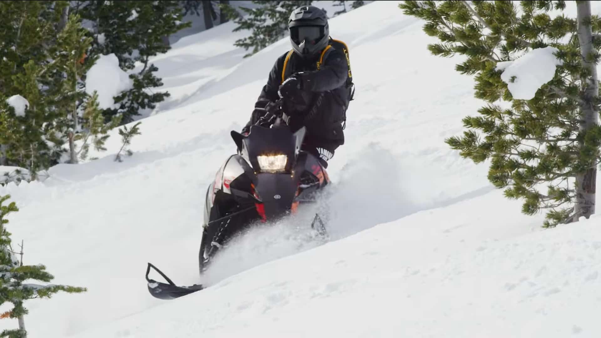 Ex-Snowmobile Club President Admits to Stealing $17k From Nonprofit ...