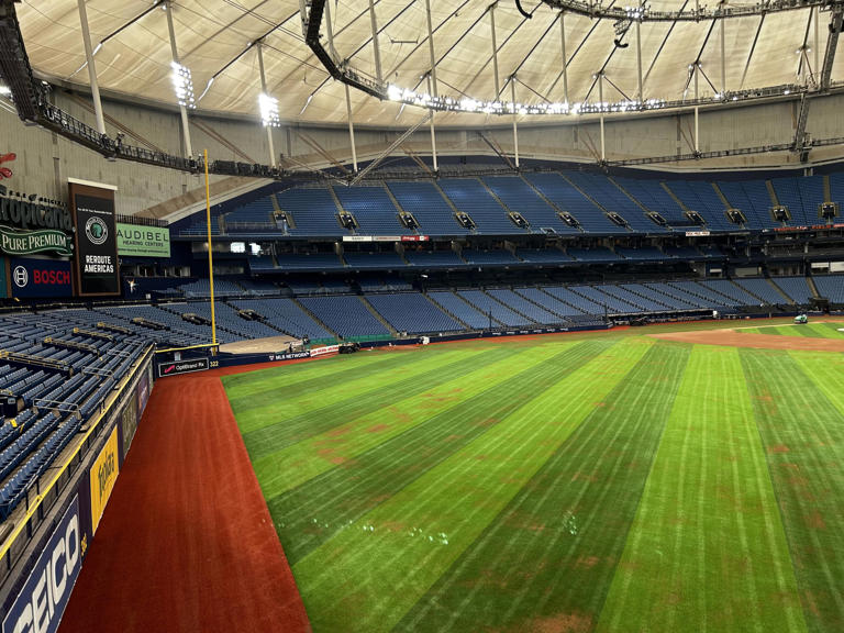 Tampa Bay Rays fan perks this season concerts, selfcheckout food