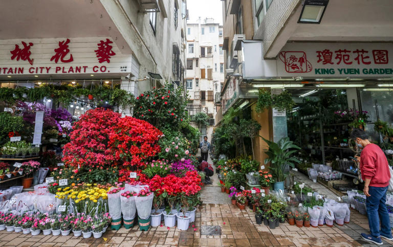 A canal for redeveloped Flower Market in Hong Kong? They may work in ...