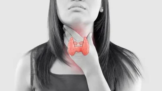 5 Key Nutrients Every Thyroid Patient Needs In Their Diet