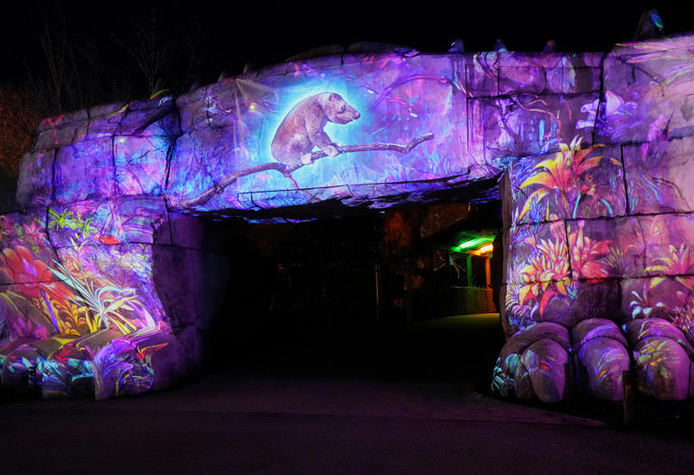 Columbus Zoo's 'Unextinct' brings extinct and endangered animals to all ...