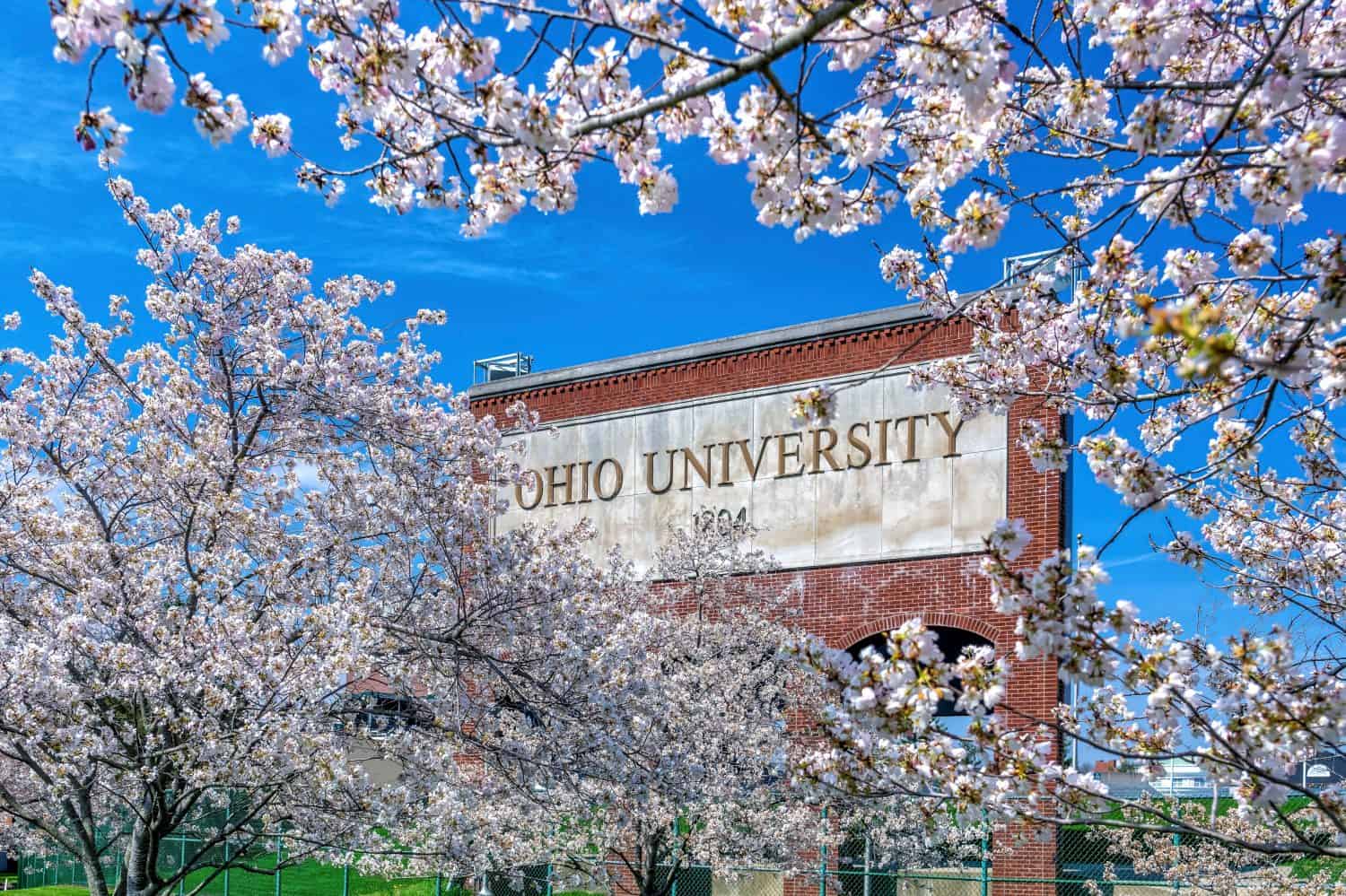 <p>Beginning in late March and into mid-April, cherry blossom trees bloom in Athens. One of the best places to view the blooms is at Ohio University where about 200 cherry blossom trees are planted around the campus.</p><p>Sharks, lions, alligators, and more! Don’t miss today’s latest and most exciting animal news. <strong><a href="https://www.msn.com/en-us/channel/source/AZ%20Animals%20US/sr-vid-7etr9q8xun6k6508c3nufaum0de3dqktiq6h27ddeagnfug30wka">Click here to access the A-Z Animals profile page</a> and be sure to hit the <em>Follow</em> button here or at the top of this article!</strong></p> <p>Have feedback? Add a comment below!</p>