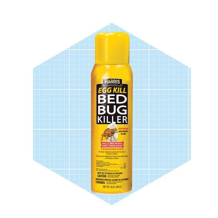 Get Rid of Bed Bugs ASAP with the 7 Best Bed Bug Sprays
