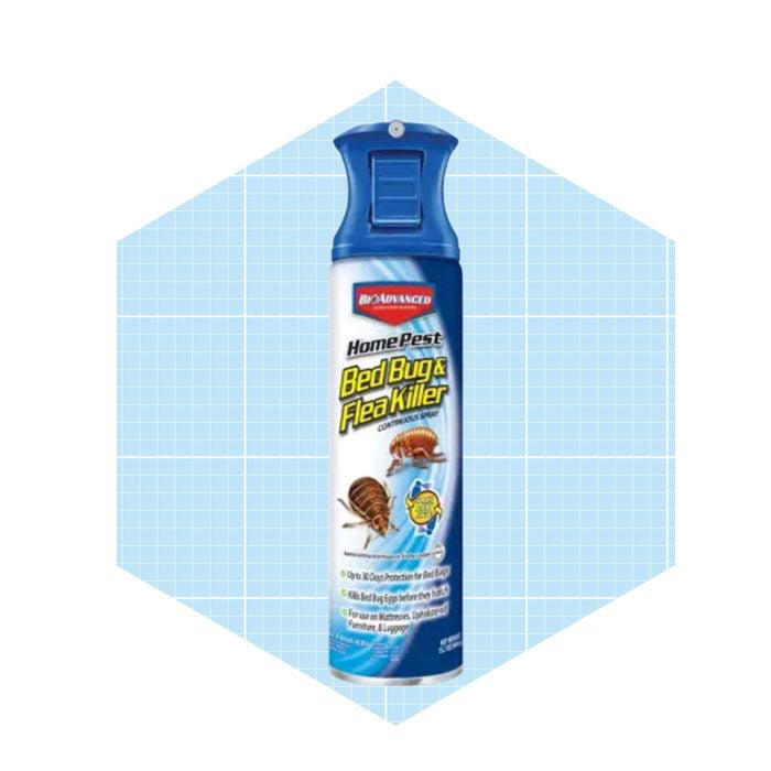 Get Rid of Bed Bugs ASAP with the 7 Best Bed Bug Sprays