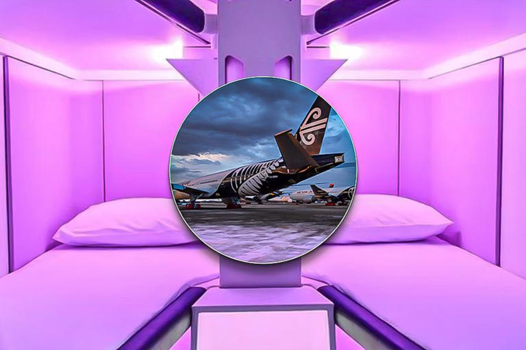 Air New Zealand's Economy Beds: 5 Things You Need To Know