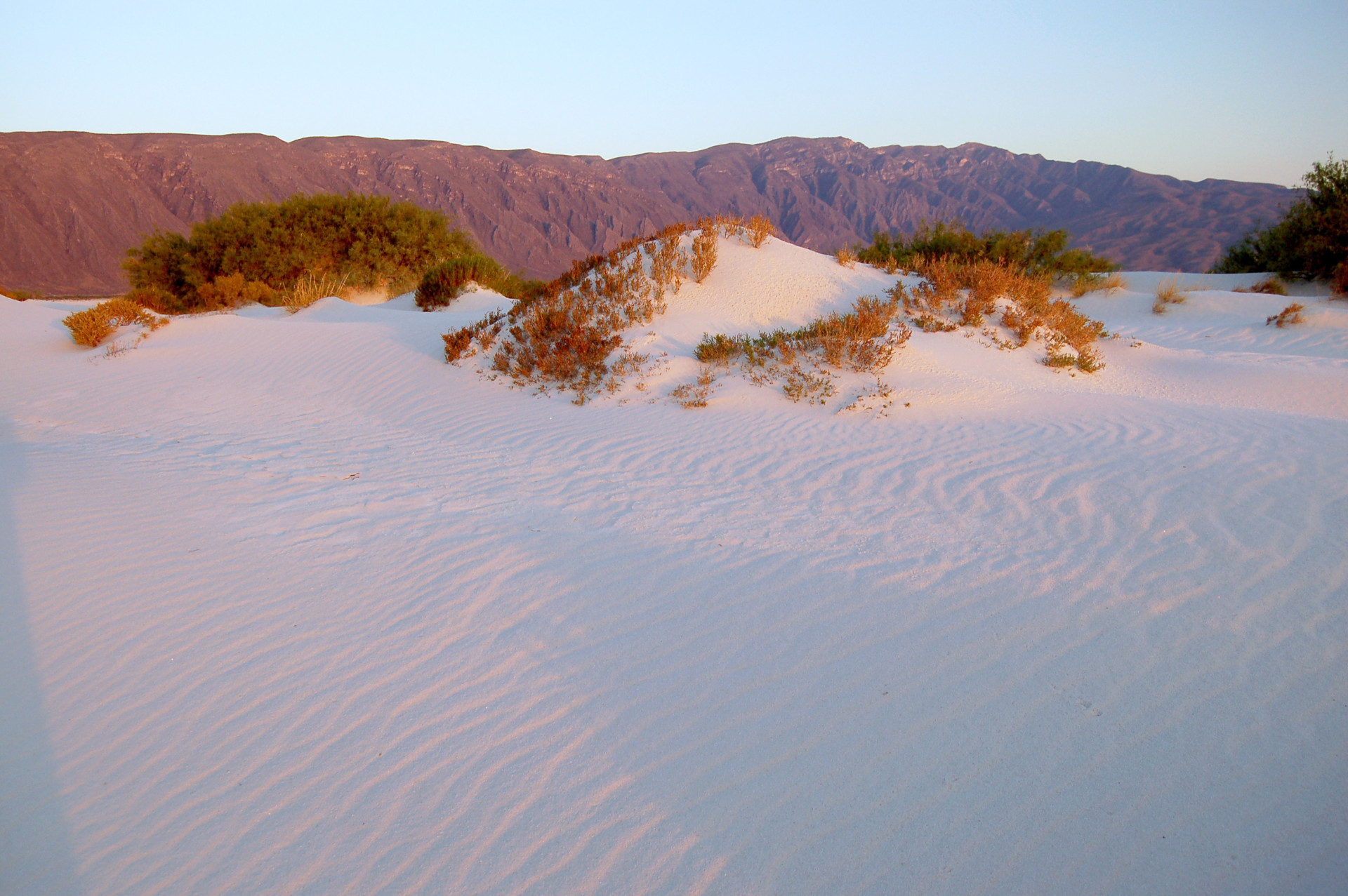 Ces dunes de sable blanc ont été formées à travers les années.