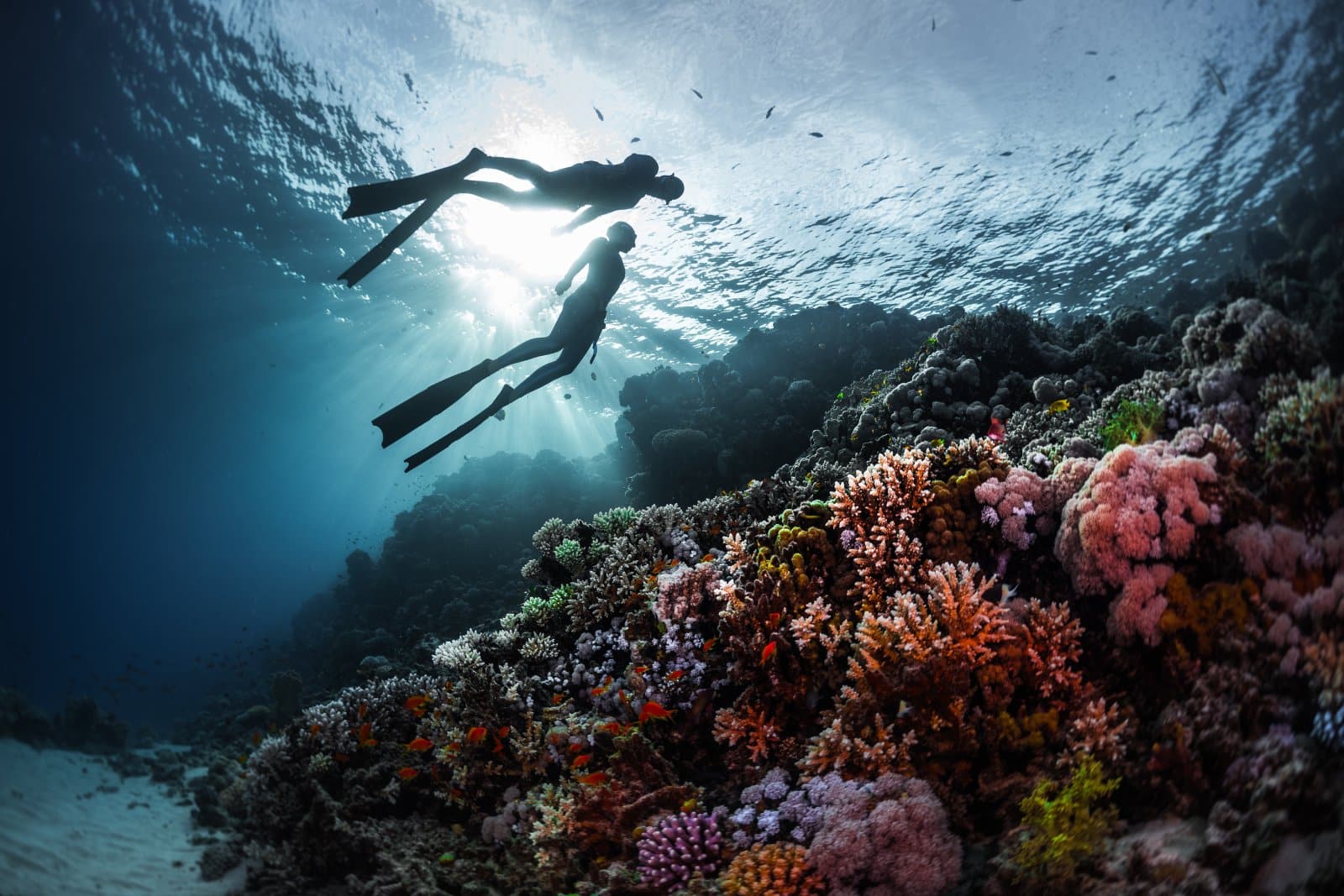 <p class="wp-caption-text">Image Credit: Shutterstock / Dudarev Mikhail</p>  <p><span>Water-based activities, when conducted responsibly, can be both enjoyable and educational. Coral reef-safe diving, snorkeling with eco-conscious operators, and participating in marine conservation workshops teach families about marine biodiversity and the importance of protecting our oceans.</span></p> <p><b>Insider’s Tip: </b><span>Ensure that any tour operator or activity provider follows environmentally responsible practices and offers educational content about marine conservation.</span></p>