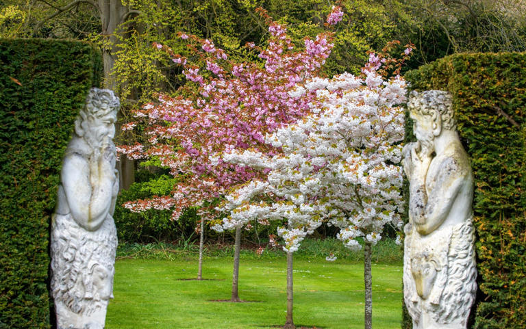 Herm satyrs protecting the blossoming trees at Anglesey Abbey, Gardens and Lode Mill, Cambridgeshire - National Trust Images/Mike Selby