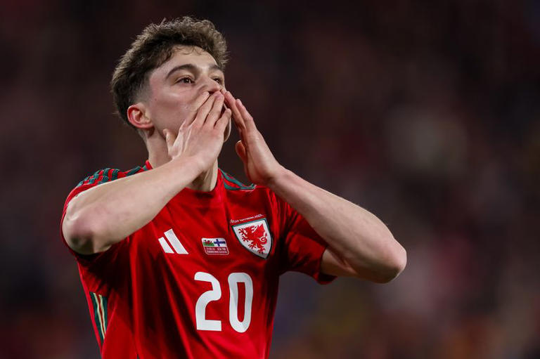Wales' Dan James celebrates scoring