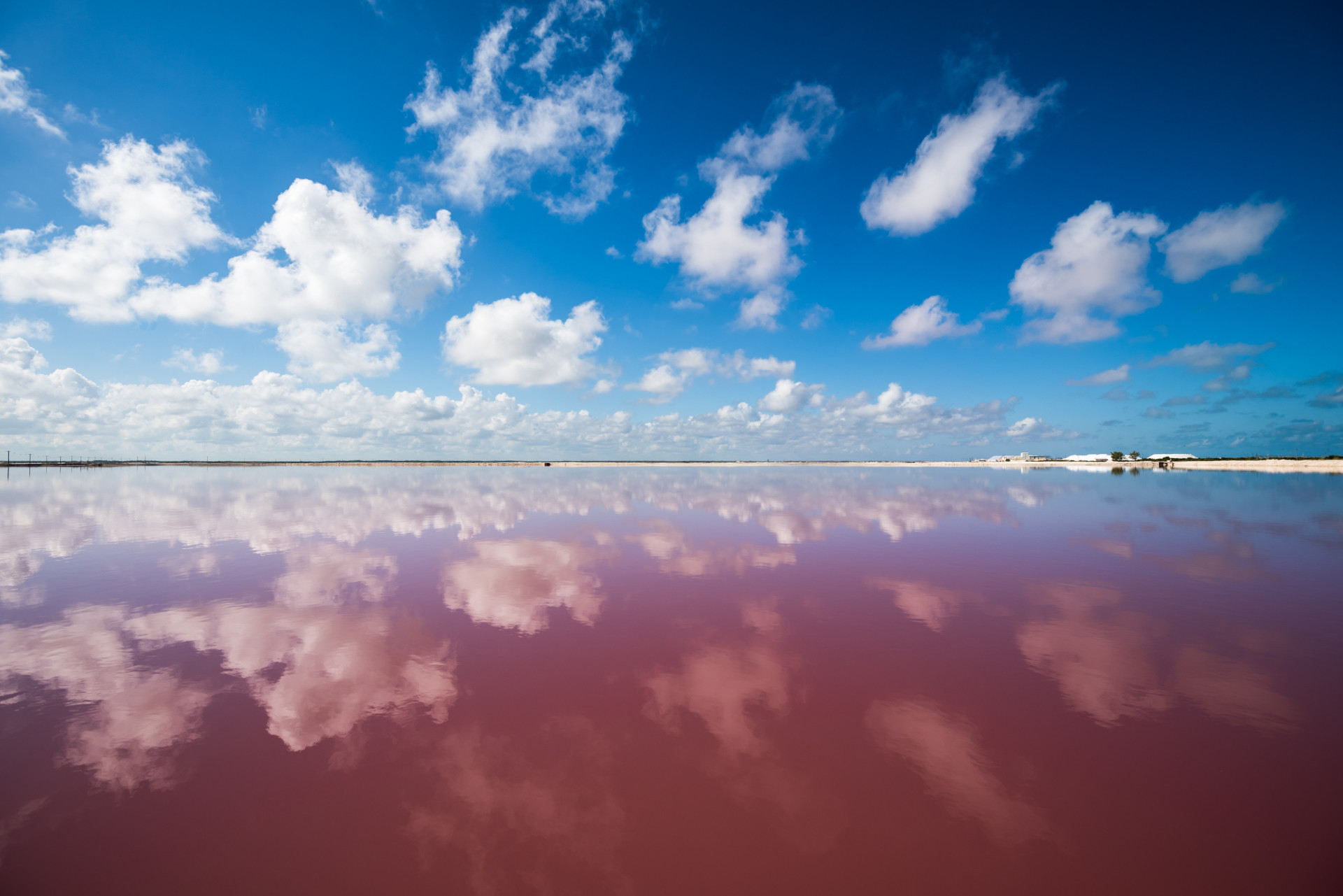 <p>Cette couleur rose est liée au dépôt du sel.</p> <p>Découvrez aussi: <a class="gs-title" href="https://www.starsinsider.com/fr/voyage/269324/le-mexique-vu-du-ciel" rel="noopener">Le <strong>Mexique</strong>, vu du ciel</a></p>