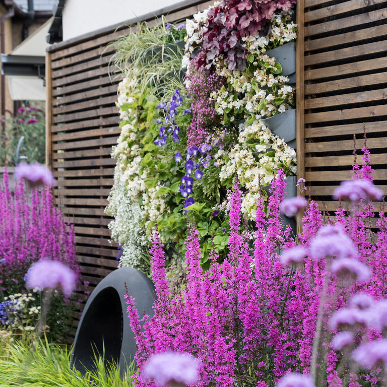 how-to-hide-an-ugly-fence-5-ways-to-disguise-an-eyesore-fence-on-a-budget