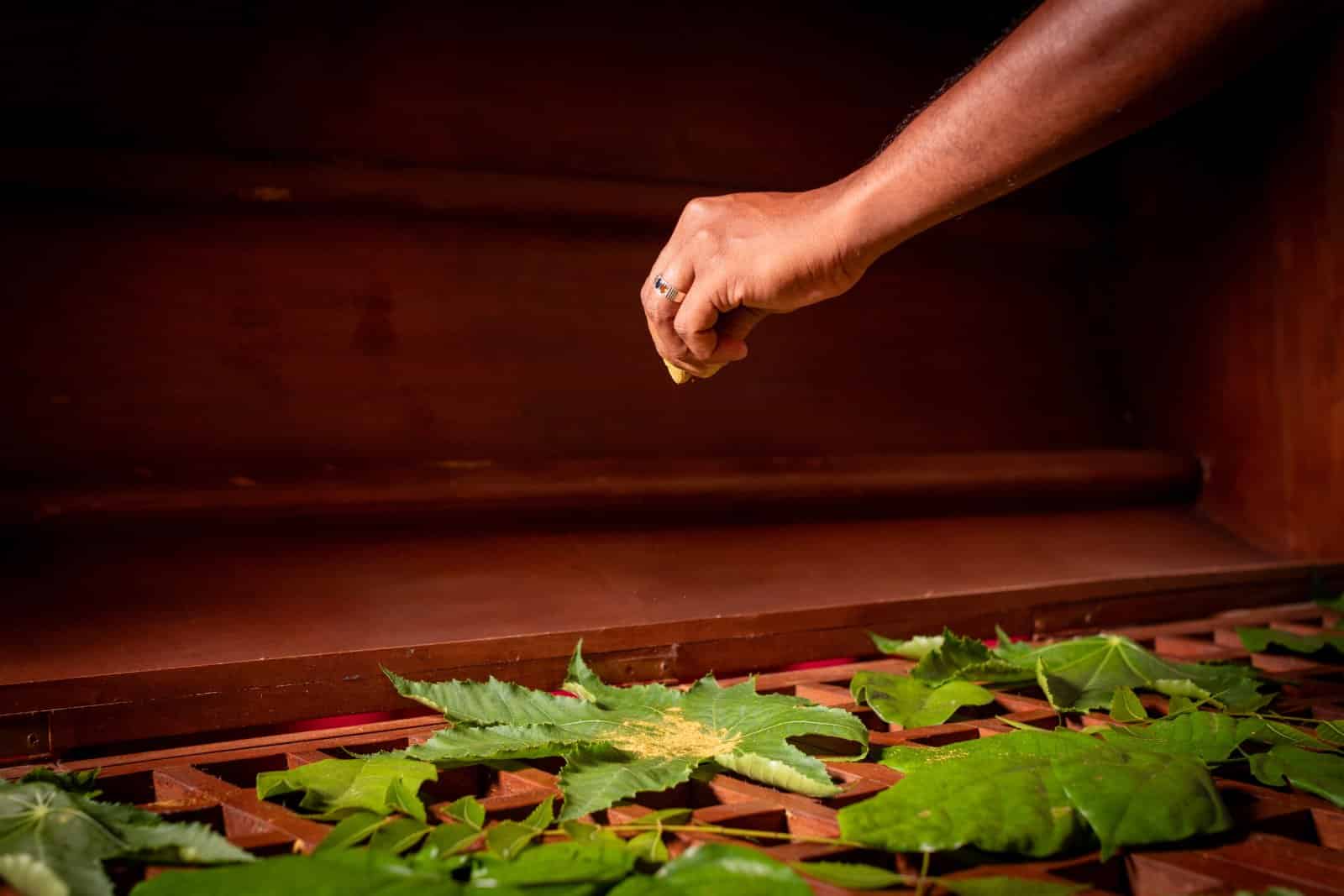 <p class="wp-caption-text">Image Credit: Shutterstock / Sajis De SIlva</p>  <p><span>Embarking on an Ayurvedic retreat in India is a journey into the heart of holistic wellness, offering a profound opportunity to heal, rejuvenate, and transform under the guidance of ancient wisdom.</span></p> <p><span>As you immerse yourself in this experience, remember that the path to wellness is personal and universal, reflecting the interconnectedness of all life. </span><span>With an open heart and mind, your Ayurvedic retreat can be a gateway to deeper health, harmony, and understanding, setting the foundation for a balanced and vibrant life.</span></p> <p><span>More Articles Like This…</span></p> <p><a href="https://thegreenvoyage.com/barcelona-discover-the-top-10-beach-clubs/"><span>Barcelona: Discover the Top 10 Beach Clubs</span></a></p> <p><a href="https://thegreenvoyage.com/top-destination-cities-to-visit/"><span>2024 Global City Travel Guide – Your Passport to the World’s Top Destination Cities</span></a></p> <p><a href="https://thegreenvoyage.com/exploring-khao-yai-a-hidden-gem-of-thailand/"><span>Exploring Khao Yai 2024 – A Hidden Gem of Thailand</span></a></p> <p><span>The post <a href="https://passingthru.com/guide-to-indias-ayurvedic-hideaways/">Comprehensive Guide to India’s Ayurvedic Hideaways</a> republished on </span><a href="https://passingthru.com/"><span>Passing Thru</span></a><span> with permission from </span><a href="https://thegreenvoyage.com/"><span>The Green Voyage</span></a><span>.</span></p> <p><span>Featured Image Credit: Shutterstock / Poznyakov.</span></p> <p><span>For transparency, this content was partly developed with AI assistance and carefully curated by an experienced editor to be informative and ensure accuracy.</span></p>