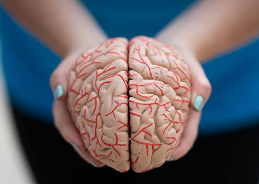 <p>The brain makes up one-half of the central nervous system. It weighs about three pounds for adults and is made up of fat, water, proteins, carbohydrates, and salts. Through receiving and sending chemical and electrical signals, the brain <a href="https://www.hopkinsmedicine.org/health/conditions-and-diseases/anatomy-of-the-brain">controls everything from pain to memory to fatigue to speech</a>. It has four main parts: the frontal lobe dictates smell, decision-making, personality, speech, and movement; the parietal lobe controls spatial understanding, pain, touch, understanding speech, and identifying objects; the occipital lobe creates vision; and finally, the temporal lobe is involved in short-term memory and musical rhythm.</p>