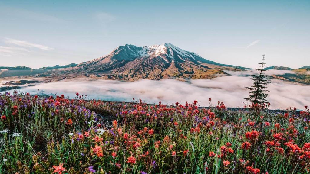 <p>Standing at approximately 8,500 feet (2,500 meters), Mount St. Helens is the most active volcano in the continental United States. The last time it erupted was in 2008, but geologists believe it is recharging, which means it might erupt anytime soon. </p><p>Summiting Mount St. Helens is challenging due to its steep and rugged terrain. It takes 7-12 hours to get to the top if you are an avid climber. For the best experience, hire a guide to explore the vast terrains and features of Mount St. Helens; you do not want to miss any essential highlights.</p><p class="has-text-align-center has-medium-font-size">Read also: <a href="https://worldwildschooling.com/us-natural-wonders/">Awesome Natural Wonders in the US</a></p>
