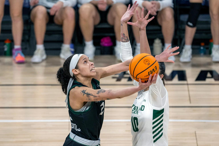 Still seeking a coach, UWGB women's basketball adds recruit Julianna ...