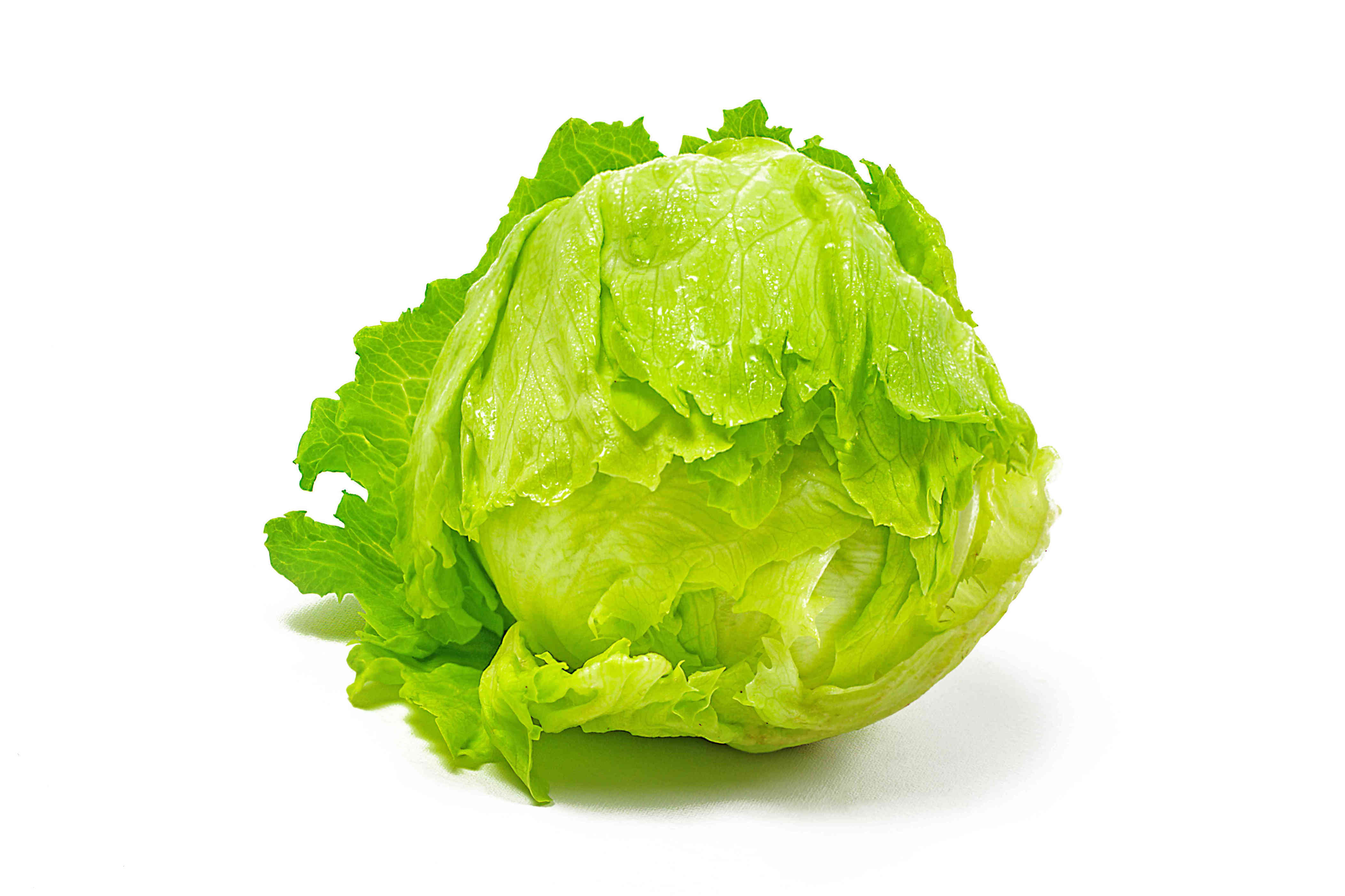 Can You Freeze Lettuce? Can You Freeze Lettuce?