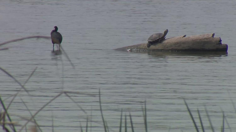 Water recreation activities will be allowed to resume at White Rock ...