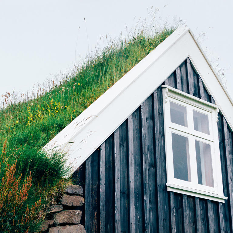 How Much Does It Cost To Install A Green Roof? Gardening Pros Answer 