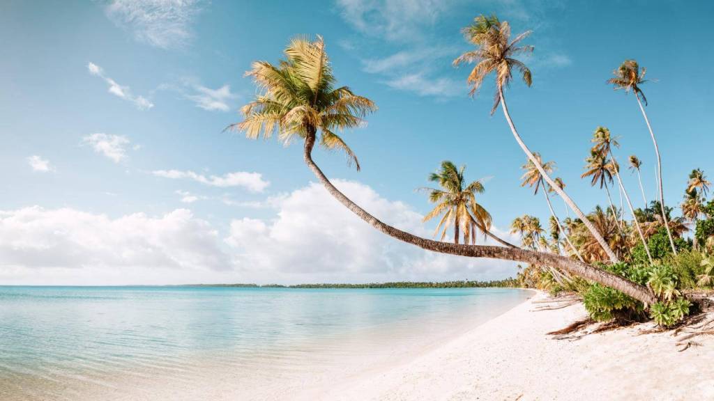 <p>Looking to skip the hustle of living in mainland Europe? One of the best recommendations would be Martinique. Located in the Caribbean, this French overseas department is a tropical paradise attracting retirees with its rich French and Creole culture. You will also love its natural beauty, including pristine beaches, mountains, and lush rainforests.</p><p>It is the perfect destination to embrace an outdoor lifestyle, enjoy water activities such as swimming, snorkeling, and sailing, and explore the island’s diverse ecosystems. While Martinique will be pricier than other Caribbean destinations, it is cheaper than mainland Europe.</p><p class="has-text-align-center has-medium-font-size">Read also: <a href="https://worldwildschooling.com/european-islands-for-beach-holiday/">Amazing European Islands for a Relaxing Escape</a></p>