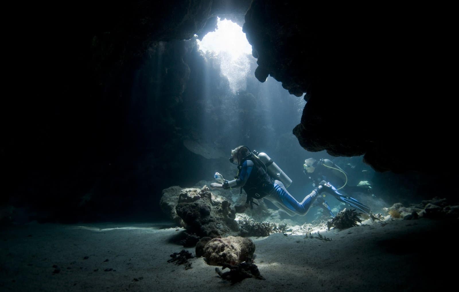 <p class="wp-caption-text">Image Credit: Shutterstock / Dray van Beeck</p>  <p><span>PADI offers a range of Specialty Diver courses that allow you to focus on specific interests or diving environments. Examples include Deep Diver, Nitrox Diver, Digital Underwater Photographer, Ice Diver, Cave Diver, and many more. Each specialty course focuses on a particular aspect of diving, providing the skills and knowledge to explore specific environments or engage in activities such as underwater photography or videography, deep diving, or night diving. These courses vary in length and requirements, with some necessitating multiple dives over several days.</span></p> <p><b>Insider’s Tip:</b><span> When choosing a specialty course, consider both your personal interests and the types of diving you plan to do in the future. Also, think about how a particular specialty might enhance your overall diving capabilities. For instance, the Nitrox Diver course is popular because diving with enriched air nitrox can extend your no-decompression limits, allowing you to enjoy longer dives.</span></p>