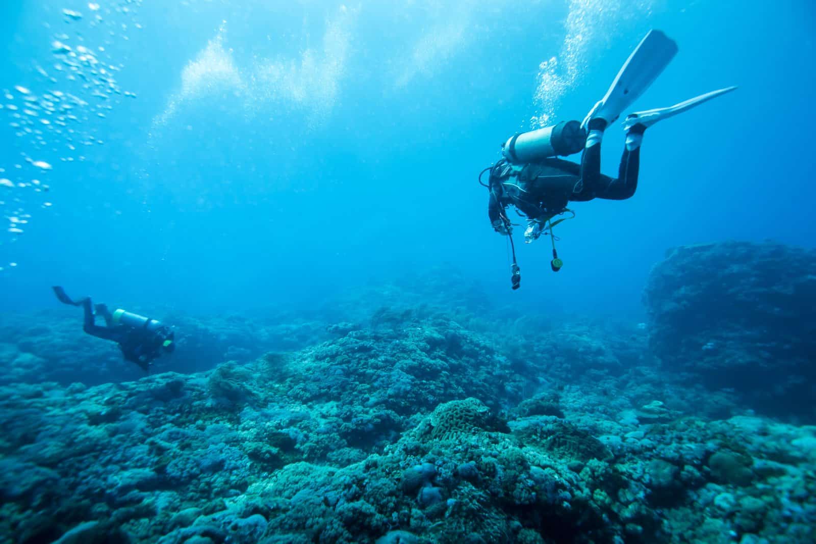 <p class="wp-caption-text">Image Credit: Shutterstock / littlesam</p>  <p><span>The PADI Advanced Open Water Diver course improves your diving skills and confidence while introducing you to new activities and ways to have fun scuba diving. You’ll try out different specialties while gaining experience under the supervision of your PADI Instructor. The course includes five adventure dives, with the Deep and Underwater Navigation dives being mandatory.</span></p> <p><span>You can choose the remaining three dives from various options such as Peak Performance Buoyancy, Night Diver, Wreck Diver, and more. This course can be taken immediately after completing the Open Water Diver certification and is structured to be flexible and performance-based, requiring no formal classroom session.</span></p> <p><b>Insider’s Tip:</b><span> To get the most out of your Advanced Open Water Diver course, select adventure dives that interest you and challenge you to develop new skills. Consider the local diving conditions and available dive sites to make choices that enhance your diving repertoire. For example, if you’re diving in an area known for its wrecks, the Wreck Diver specialty can provide a fascinating and educational experience.</span></p>