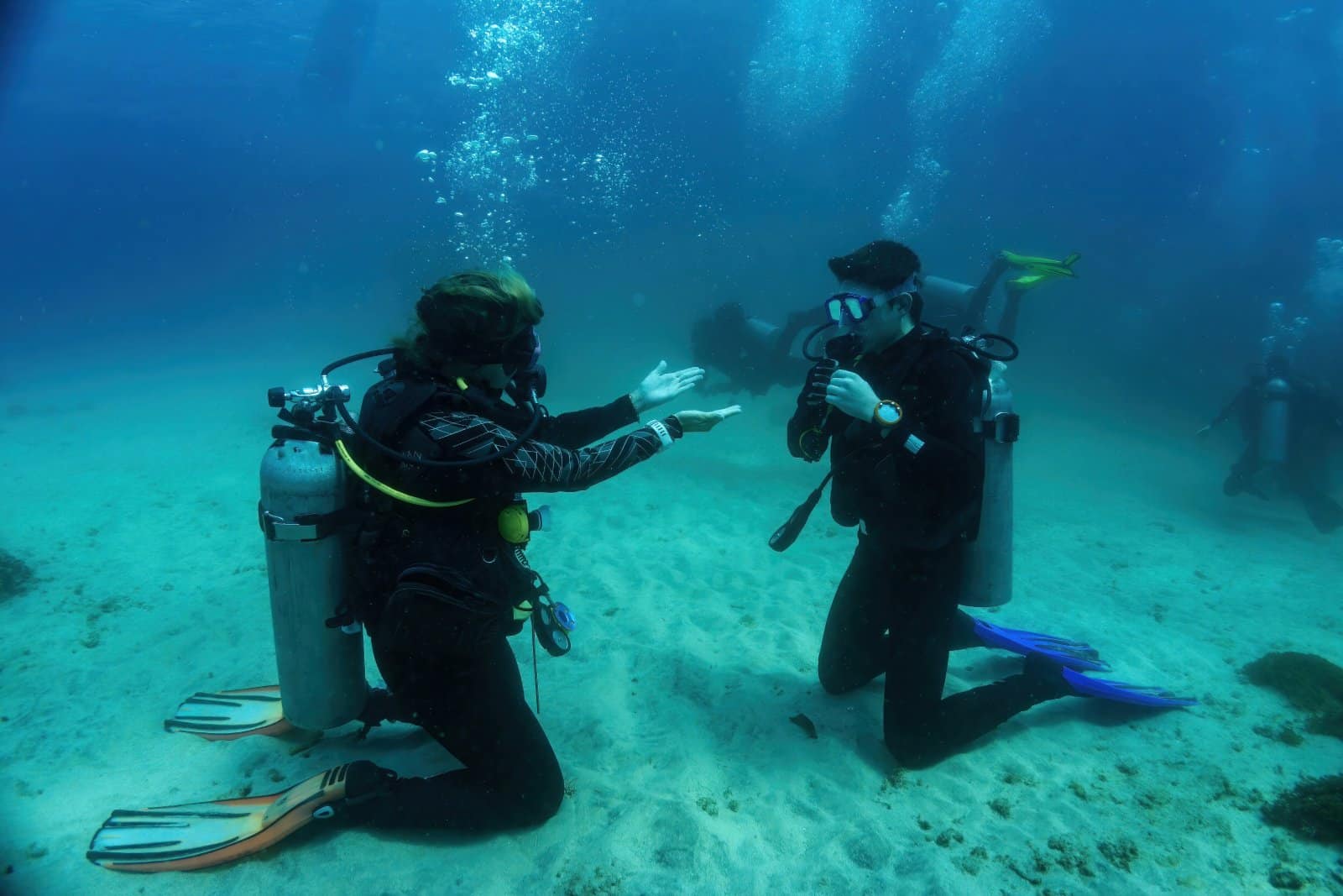 <p class="wp-caption-text">Image Credit: Shutterstock / AlexDreamliner</p>  <p><span>After completing the PADI Open Water Diver course, divers are often eager to expand their skills and explore more specialized aspects of diving. Further diving courses offer the opportunity to enhance your underwater proficiency, safety, and enjoyment. Here’s an overview of some of the key courses available for divers looking to advance beyond the basics.</span></p>