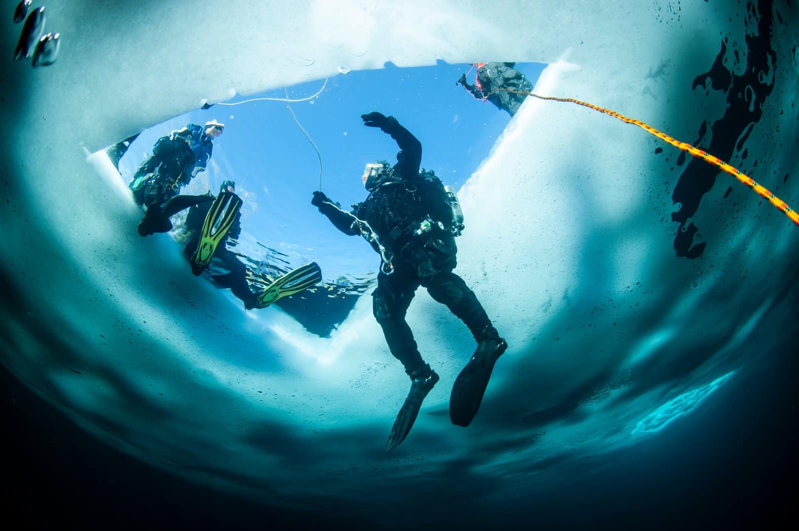 <p class="wp-caption-text">Image Credit: Shutterstock / RLS Photo</p>  <p><span>Ice diving is an extreme form of diving that offers a serene and otherworldly experience. Diving under ice presents unique challenges and rewards, including crystal-clear waters and observing species adapted to cold environments.</span></p> <p><b>Insider’s Tip:</b><span> This type of diving requires specialized training and equipment. Ensure you’re adequately prepared and accompanied by experienced ice divers or instructors.</span></p>