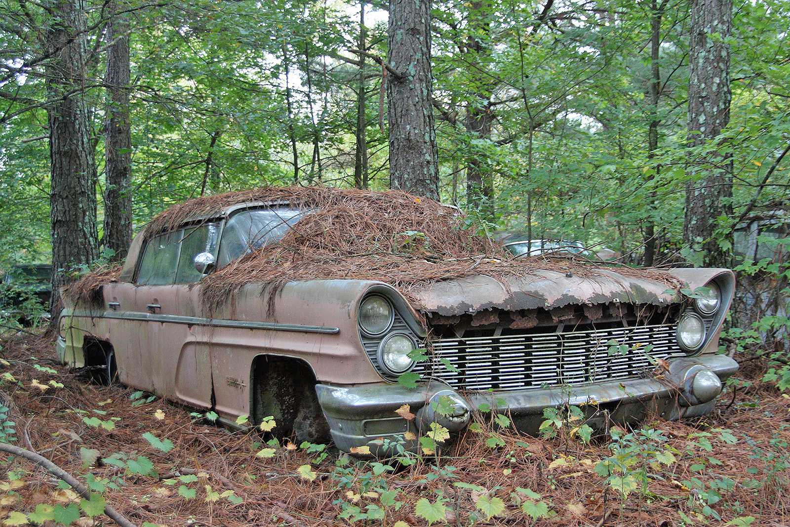 Unicorns: the rarest cars we’ve ever spotted in American junkyards