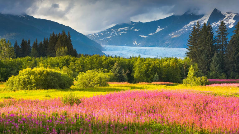 Brotherhood Park in Juneau is known for its abundant meadows and majestic view of the Mendenhall Glacier
