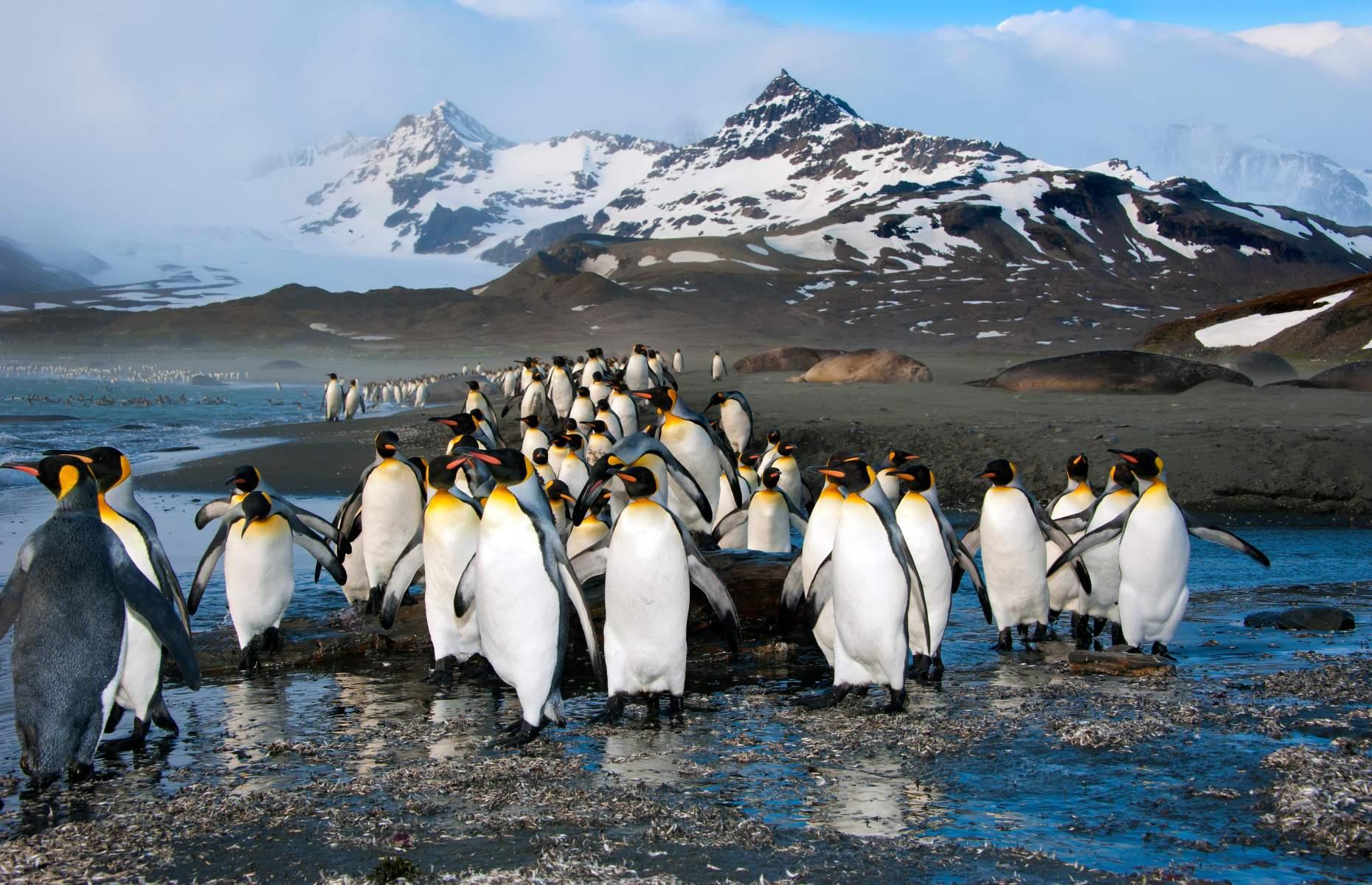 The incredible story of Antarctica, the world’s most mysterious continent