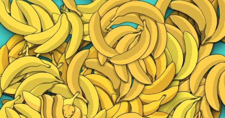 Optical Illusion: Spot The Hidden Snake Among The Bananas