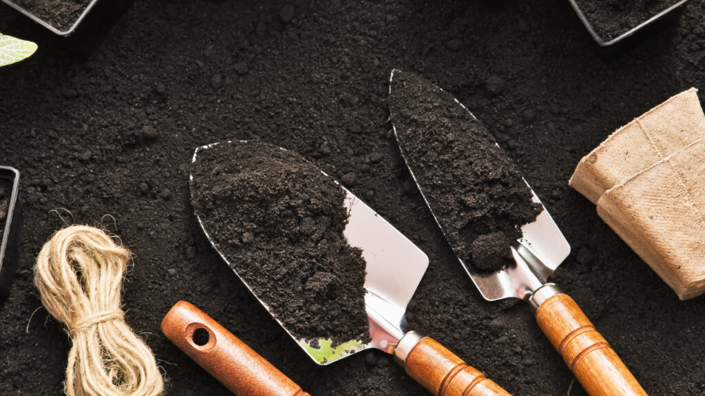 14 Clever Ways to Use Vinegar in Your Garden