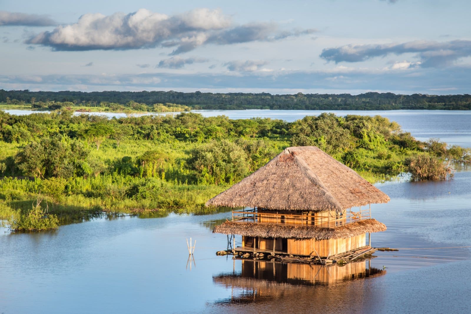 <p class="wp-caption-text">Image Credit: Shutterstock / Christian Vinces</p>  <p><span>Iquitos, a bustling city accessible only by river or air, serves as the gateway to the Peruvian Amazon and its shamanic traditions. The city is surrounded by rivers and rainforests, offering access to numerous indigenous communities and retreat centers where visitors can engage in traditional ayahuasca ceremonies led by experienced shamans. These ceremonies are intended for deep spiritual exploration and healing, guided by the powerful plant medicine known to induce visionary states of consciousness.</span></p>
