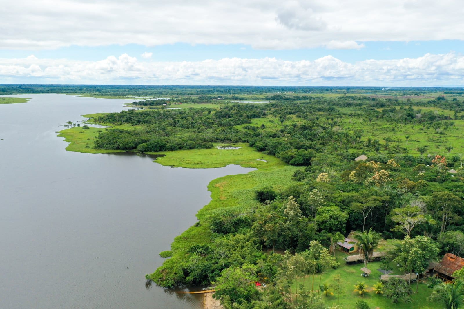 <p class="wp-caption-text">Image Credit: Shutterstock / diegoguiop</p>  <p><span>Pucallpa, situated on the banks of the Ucayali River, is a vibrant city that acts as a conduit to the Shipibo-Conibo communities, known for its intricate art and profound shamanic practices. The city is a blend of urban and indigenous cultures, with easy access to remote villages where traditional ceremonies, including ayahuasca and San Pedro cactus rituals, are practiced. </span></p>
